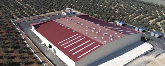 2022 grupo fonsan timeline 6ad558c6