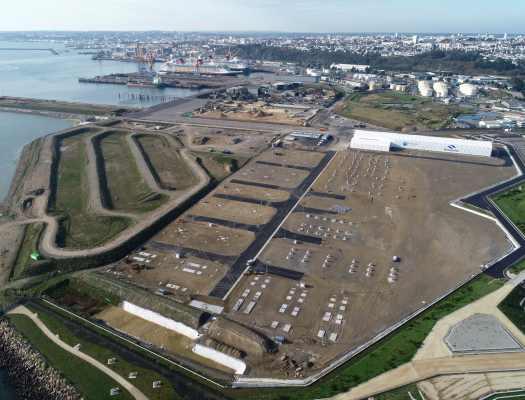 MAYO scaled cd65f23b