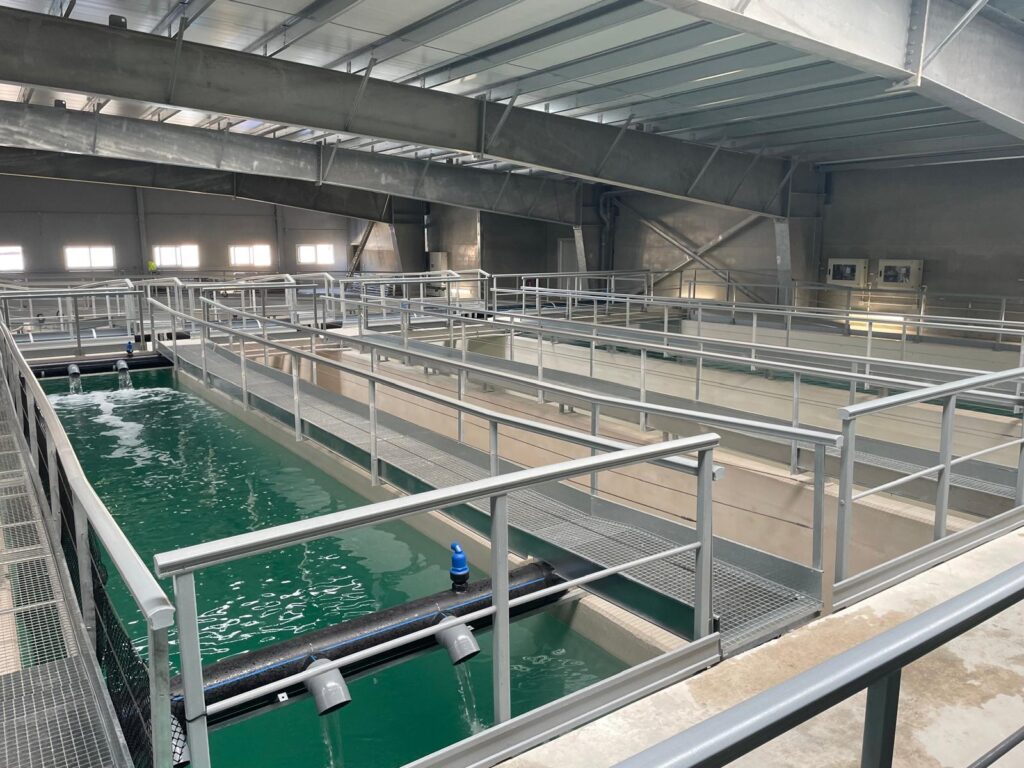 Construir infraestructuras, construir confianza: la apuesta de Grupo Fonsán por la Comunidad Valenciana 2 Construir infraestructuras, construir confianza: la apuesta de Grupo Fonsán por la Comunidad Valenciana